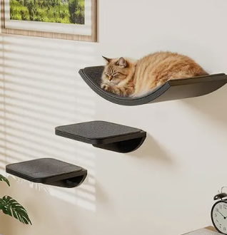Cats shelve wall