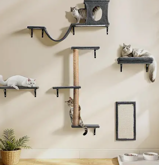Cats shelve wall