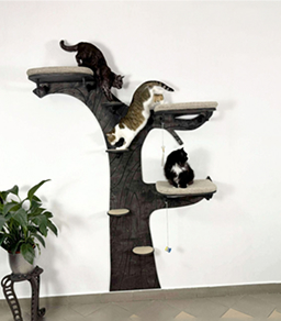 Modern Wall Cat Tree | Stylish Climbing Furniture for Multi-Cat Homes